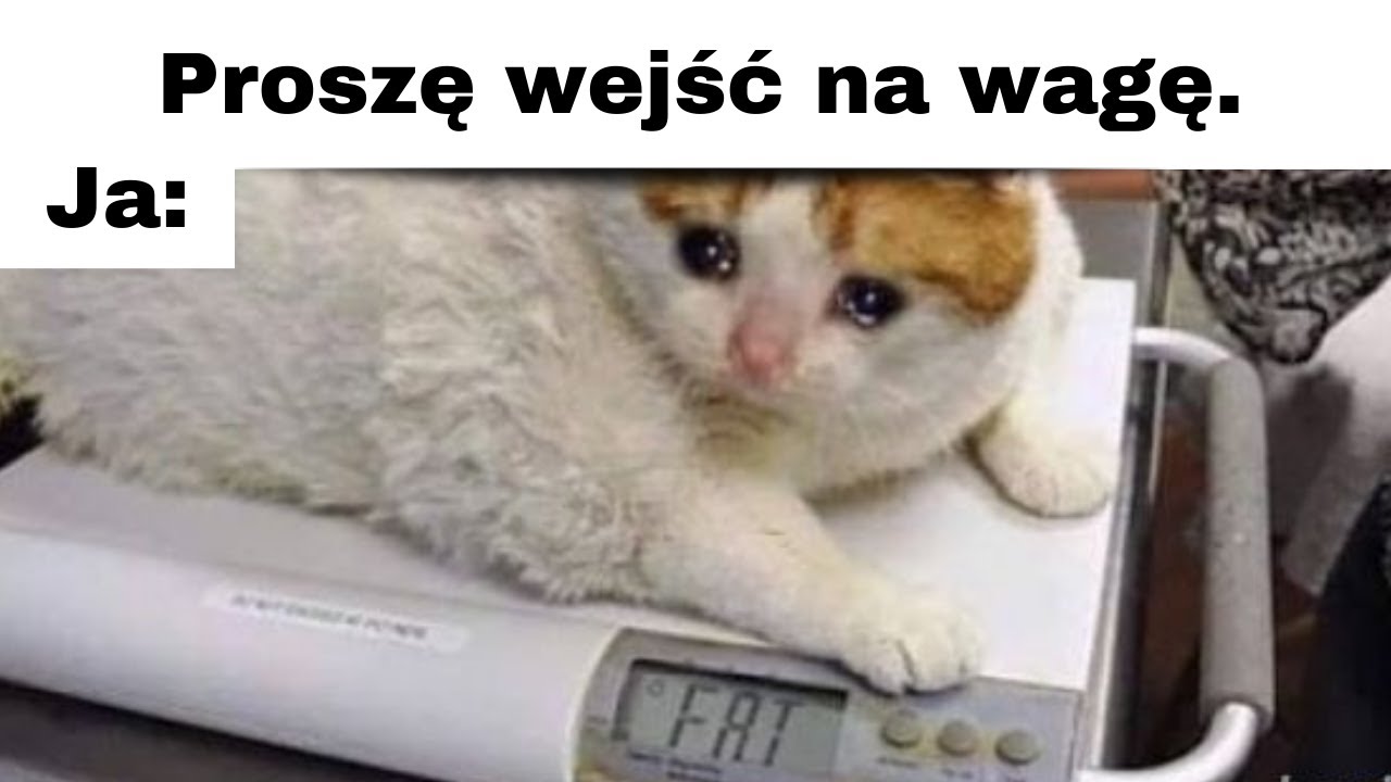 Najlepsze Memy Tygodnia 🤣 |1| GODZINA MEMÓW | Polskie memy 2024 | Memy po Polsku |