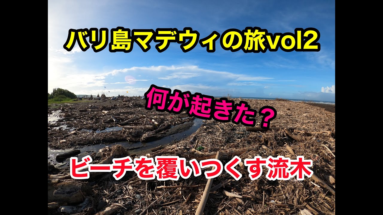 【４８歳ひとり旅 バリ島マデウィvol2】ビーチを覆い尽くす流木の正体！？