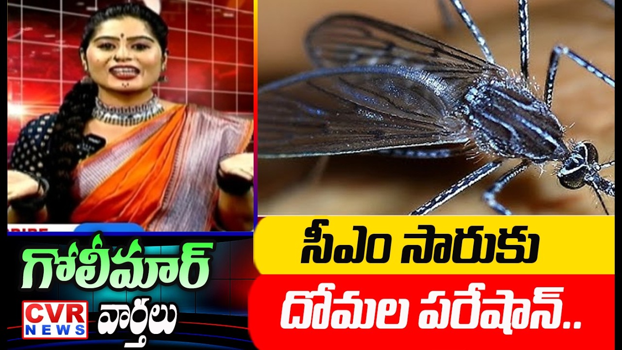 సీఎం సారుకు దోమల పరేషాన్..🤣 | CVR News