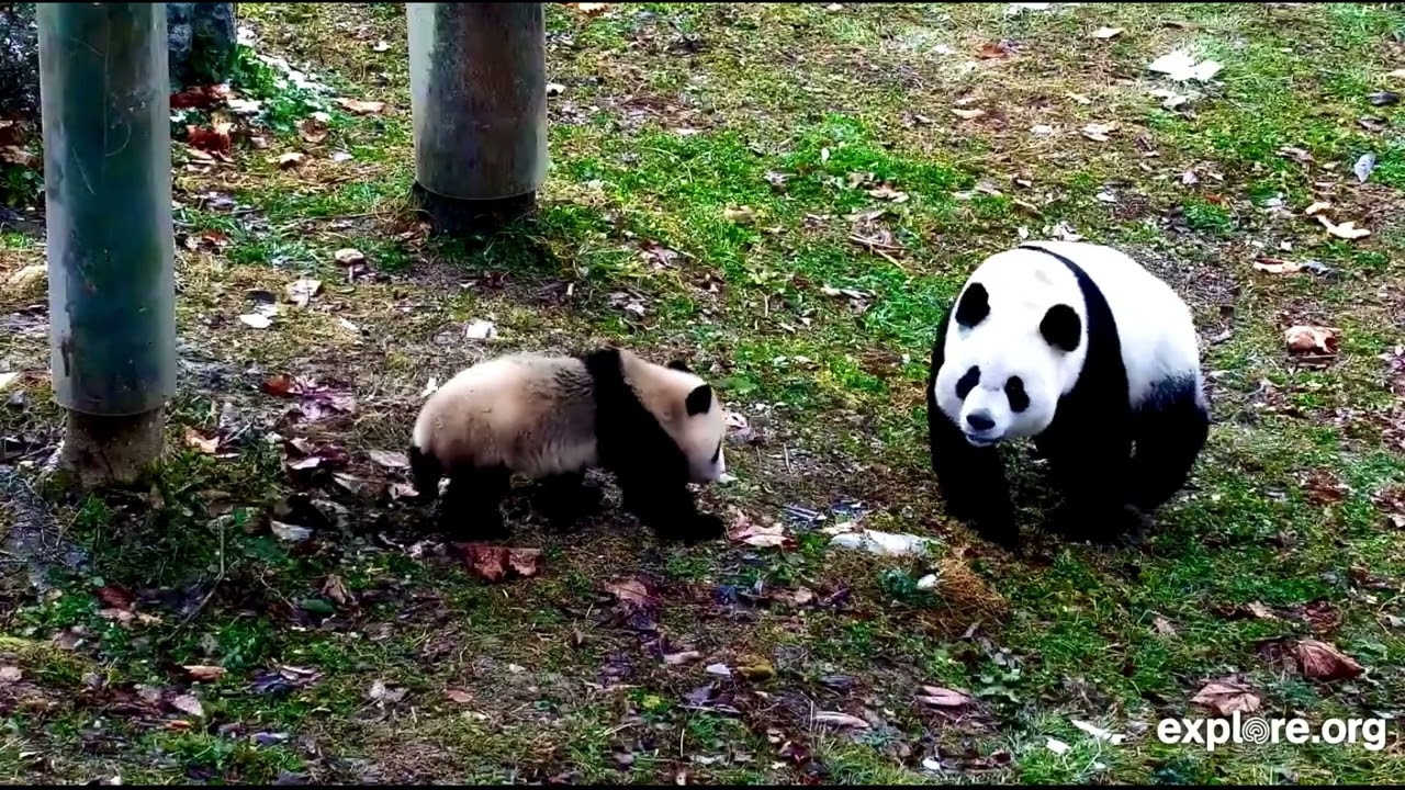 New Mommy & Her Little Princess (some snippets of their routine) 💖💖💖