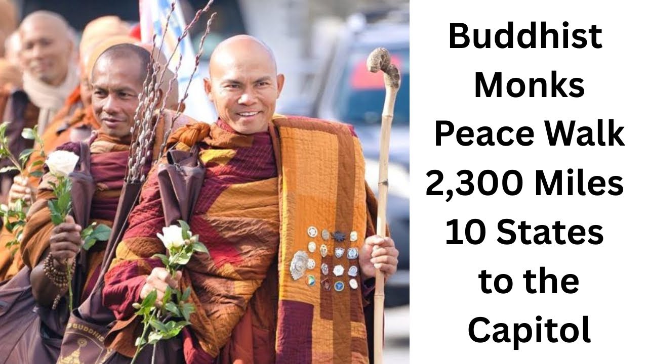 A Walk For Peace ☮️- & Impact 