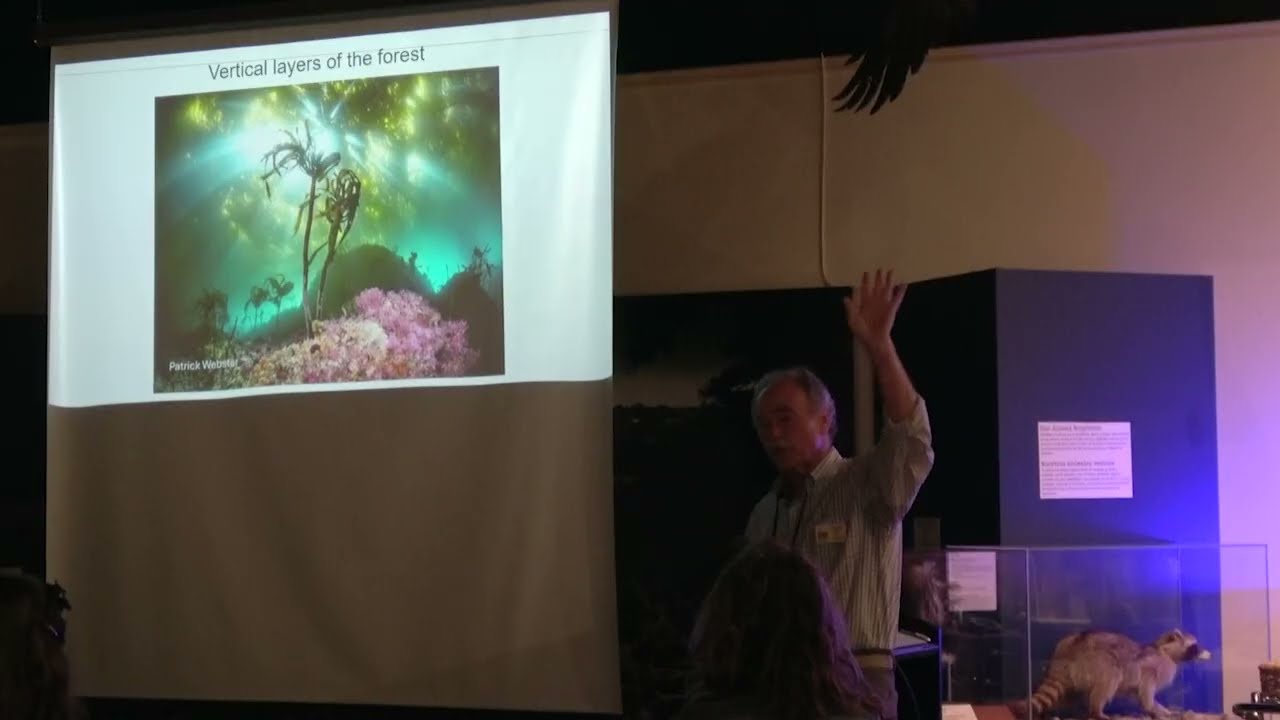 California Kelp Forests and Climate Change with Mark Carr at the 2025 Save Our Shores Museum Event