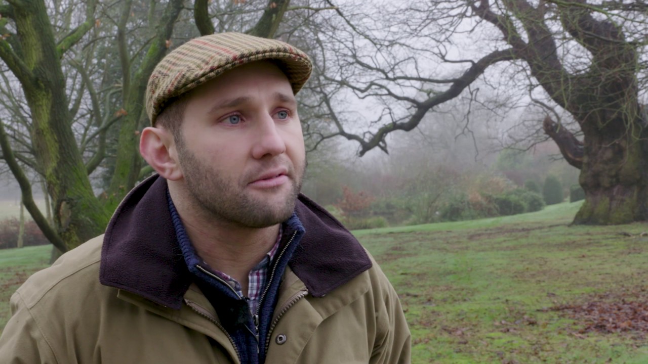 Haywood Oaks Farm – how tree planting can save the soil