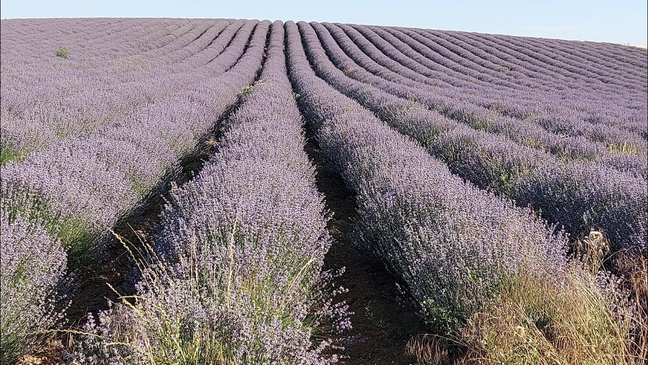 Impressionen aus dem Weinviertel