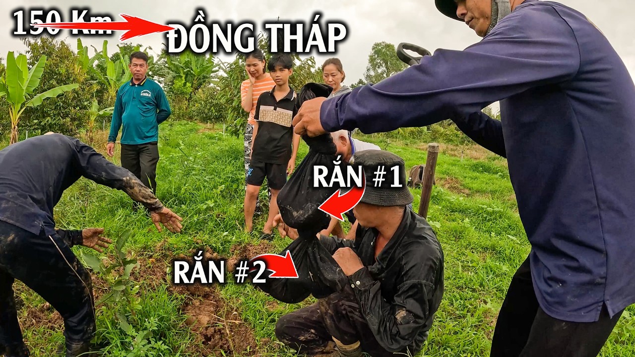 Giúp Được Một Gia Đình Bắt Hết Rắn Trong Vườn | TGSB #1089