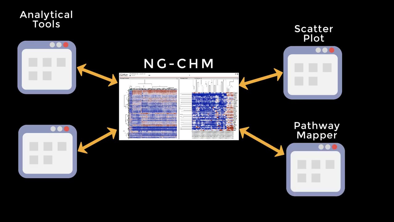 Next Generation Clustered Heat Map (NG-CHM) Panels Tutorial
