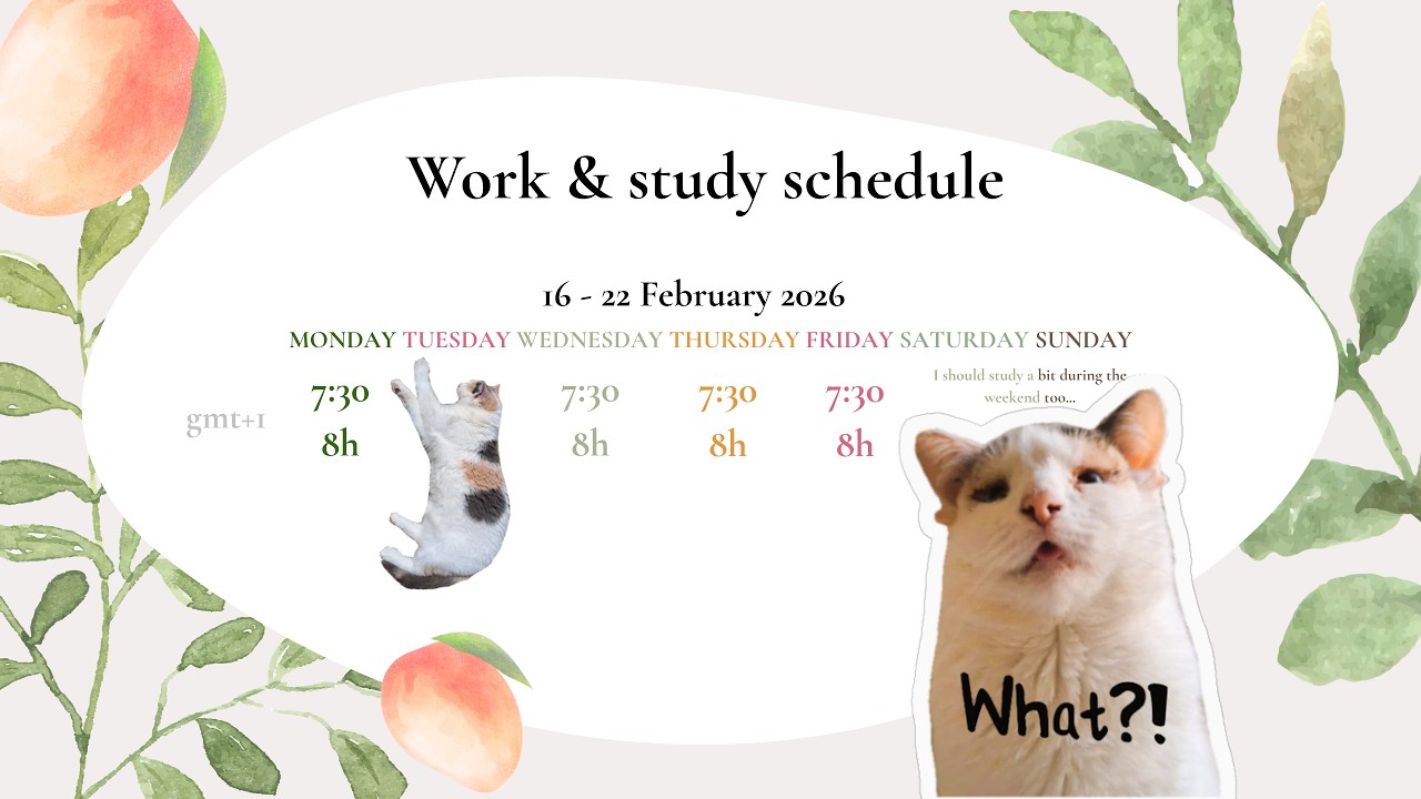 8 Hours Study with me || live pomodoros 50/10 ||  8 sessions of productivity | birds chirping
