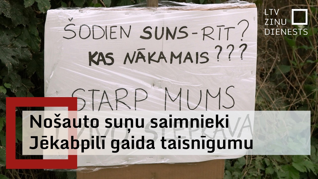 Turpinās izmeklēšana par suņa nošaušanu Jēkabpilī; ģimene dzīvo bailēs par drošību