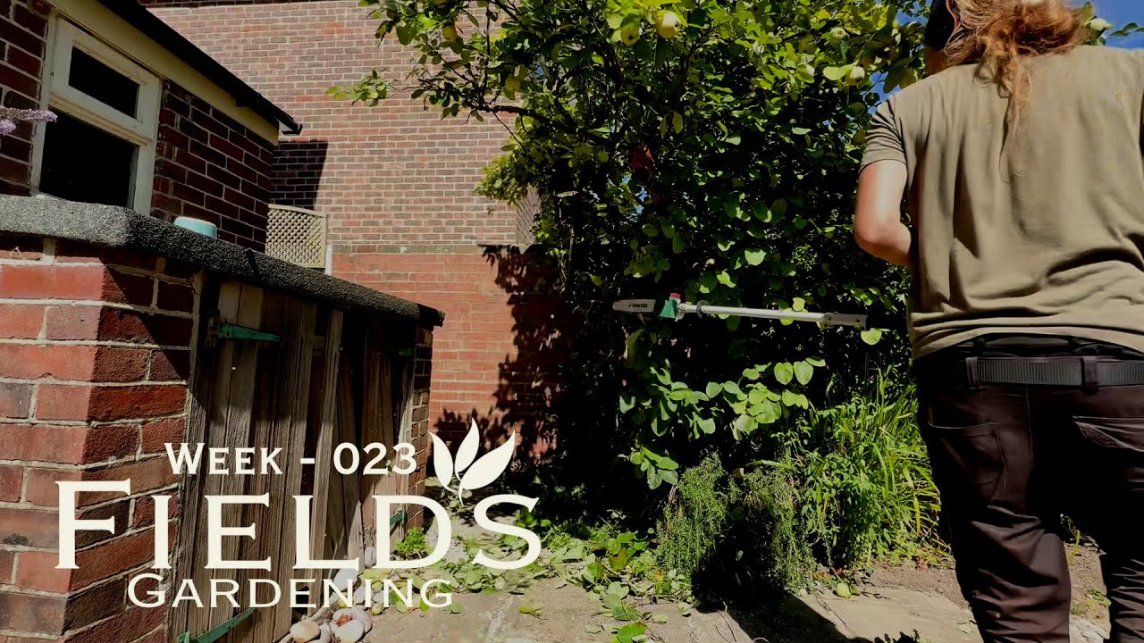 This Week at Field's Gardening - Week 23