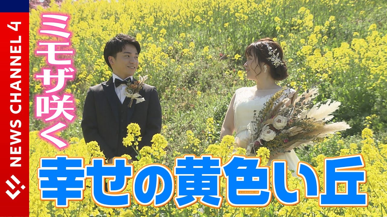 幸せの黄色い丘～伊予市・佐礼谷の春～＜NEWS CH.4＞