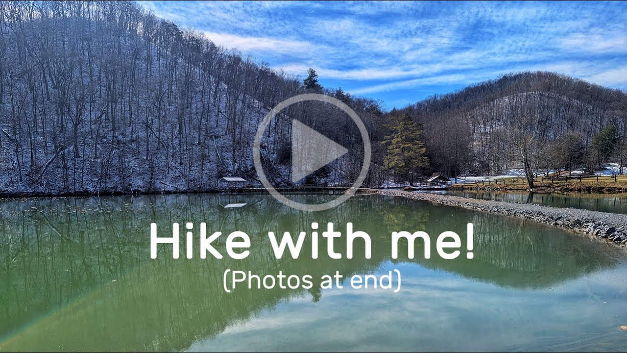 Walk at Steele Creek Park