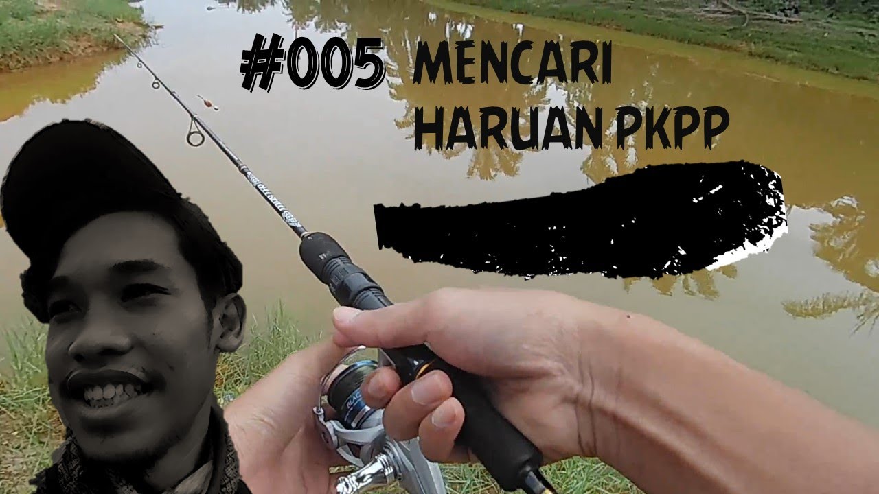 MENCARI IKAN PKPP 