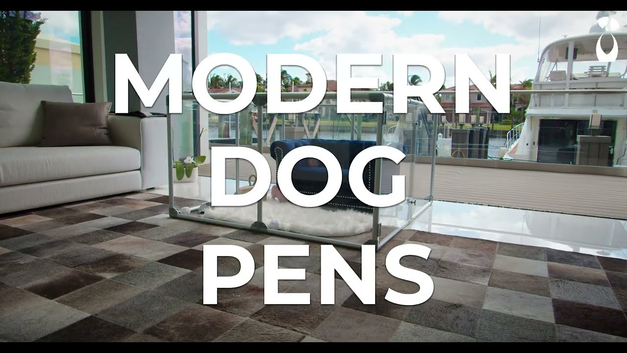 Reasons To Purchase a Clearly Loved Pets Lucidium Dog Pen