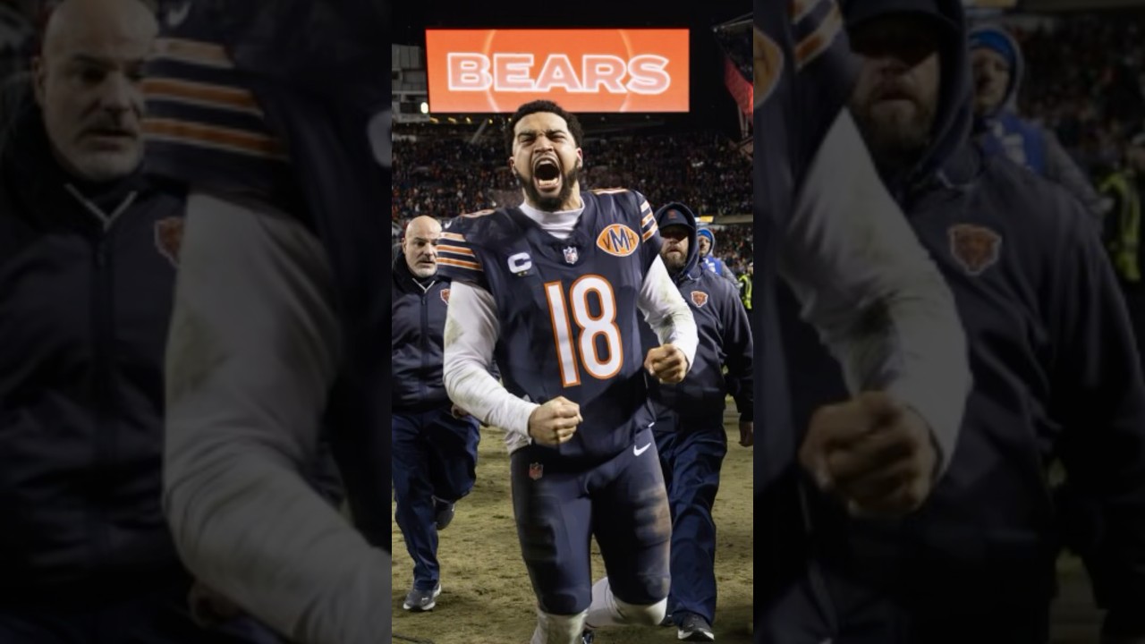 The Bears Dream Season Continues! 