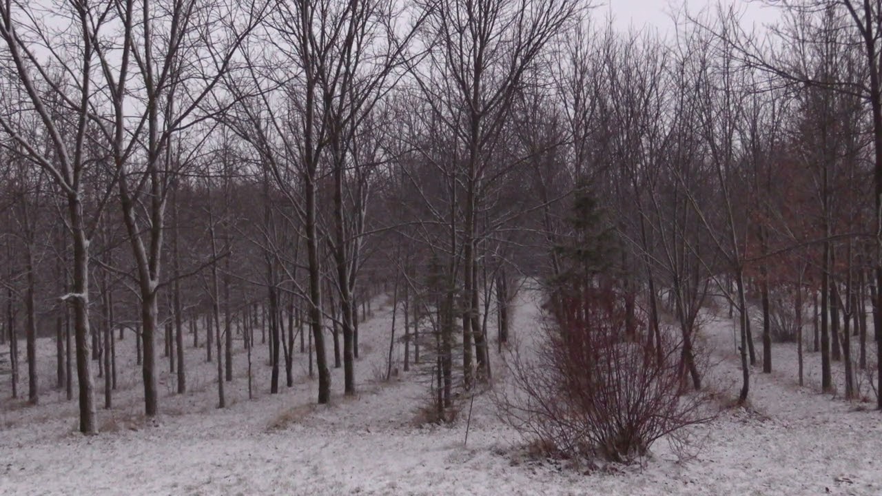 short blizzard ambience at night