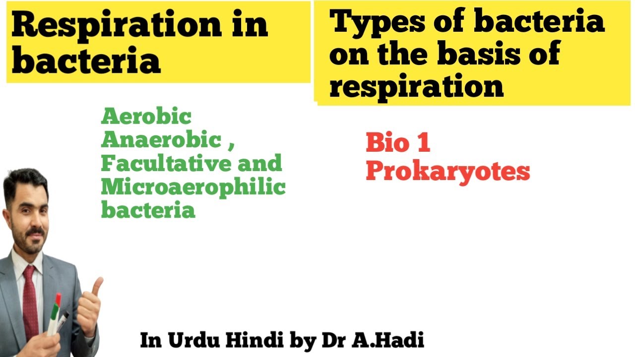 L-9 Respiration  in Bacteria|| Aerobic Anaerobic| facultative|| microaerophilic bacteria