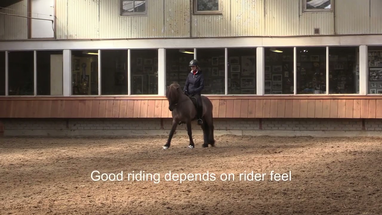 Why Information Alone Doesn’t Create Real Change | Riding Is a Dialogue (Part 2)