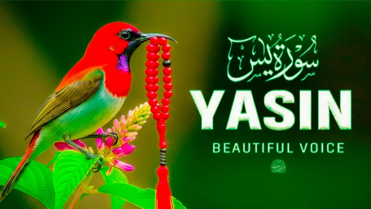 Surah Yaseen (yasin) (سورة يس) Morning Recitation | Start Your Day with Peace & Blessings #quran