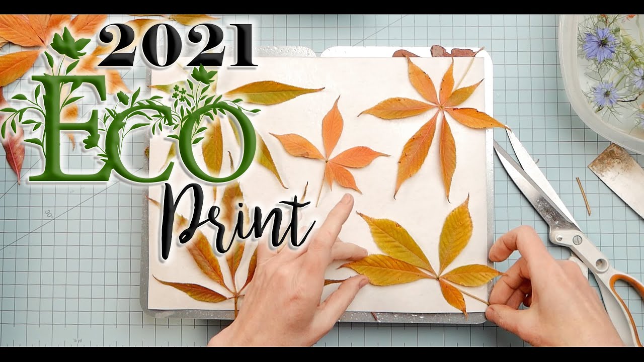 ПРОЕКТ ЭКО ПЕЧАТИ 2021 🌿