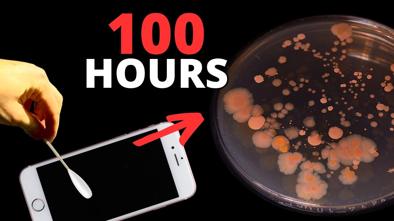 Iphone Bacteria TIME LAPSE