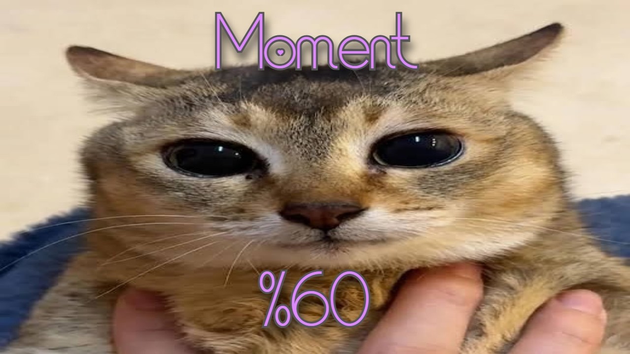 момент 60% (extreme demon, top 917)