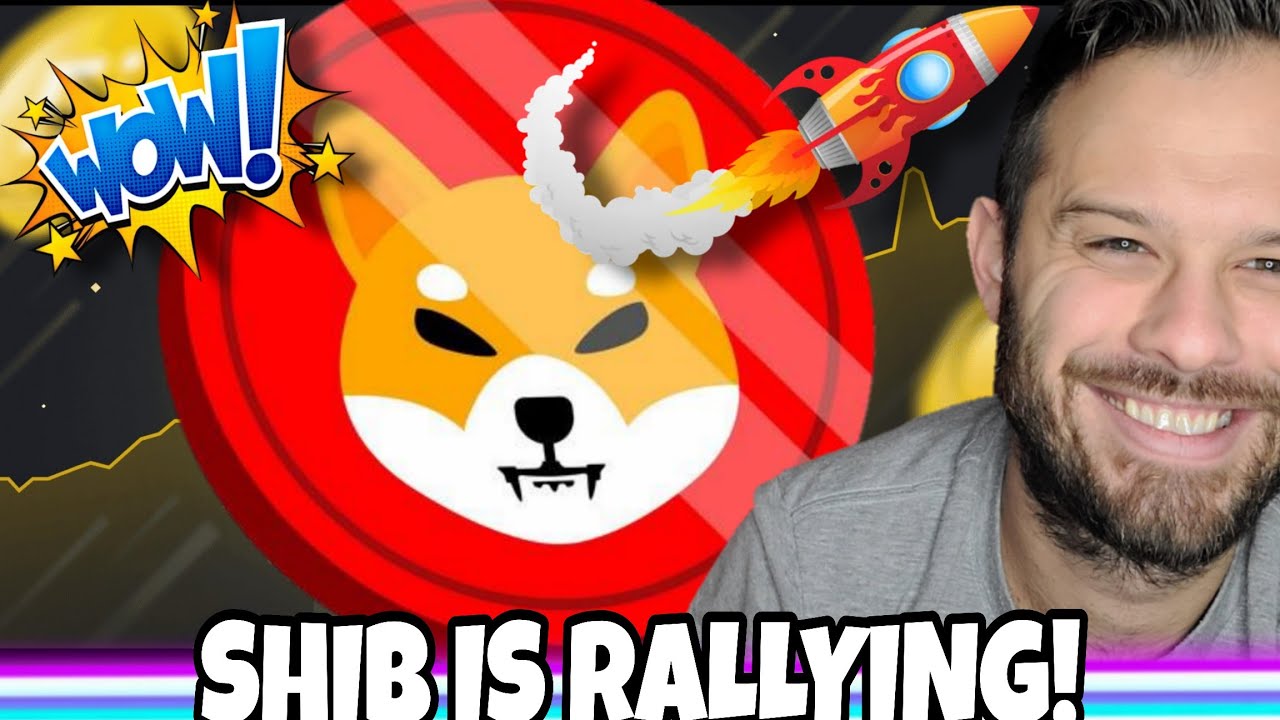 The Shiba Inu Coin Recovery Is Starting!