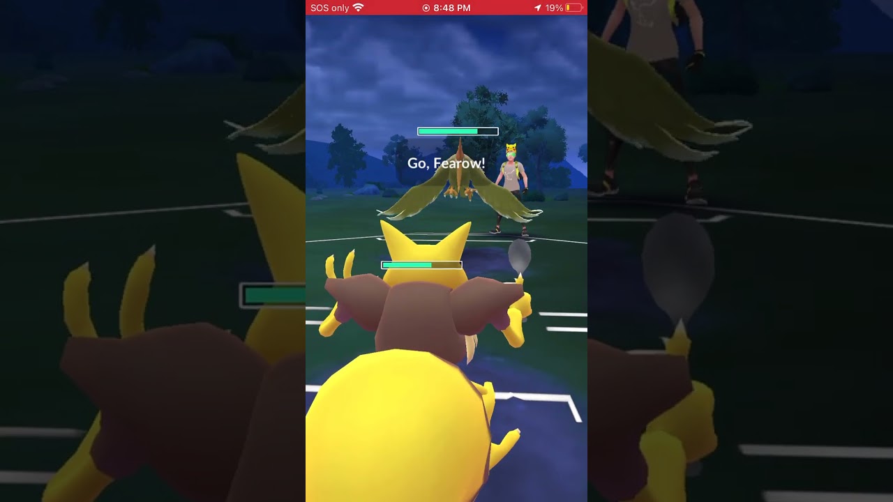 Pogo GBL GL