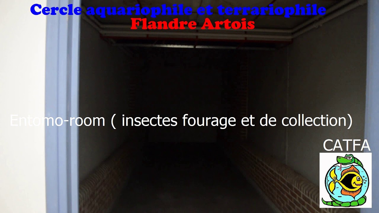 CATFA B&eacute;thunarium Futur Local