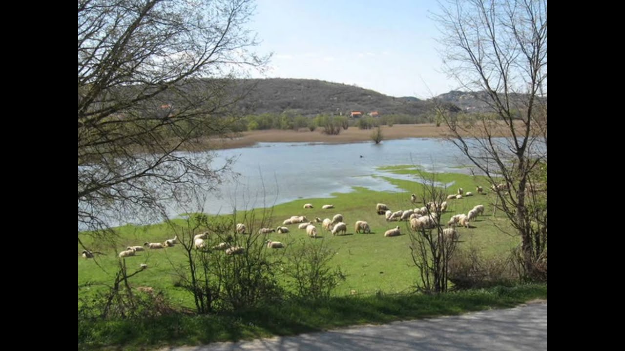 Biskupija kod Knina
