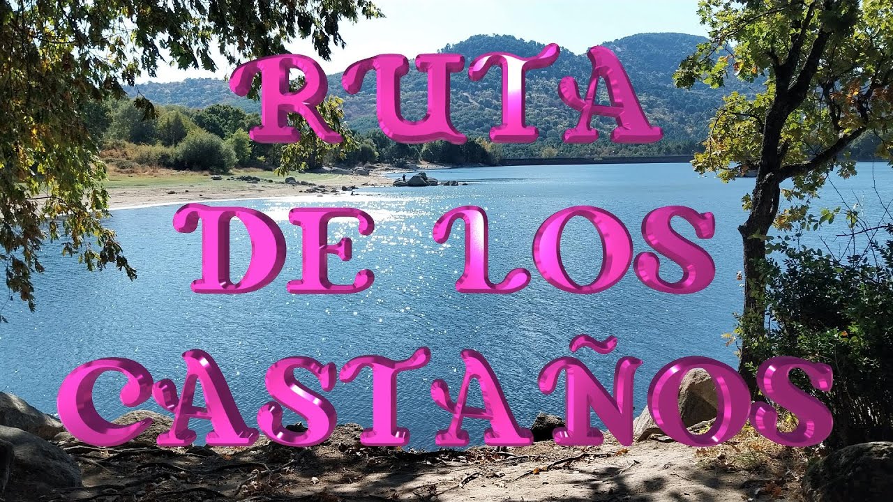 CASTAÑAR DE LAS ROZAS DE PUERTO REAL