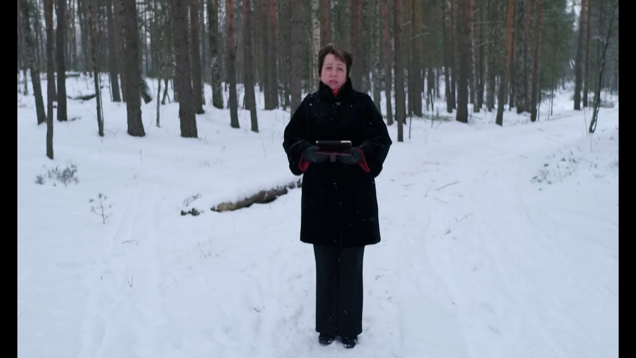 1207. Хлеб на каждый день. Действия Иоава.
