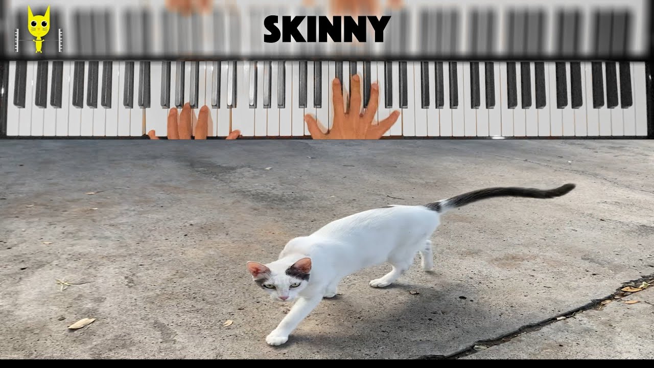 SKINNY - Billie Eilish | Piano Cover by Emilio