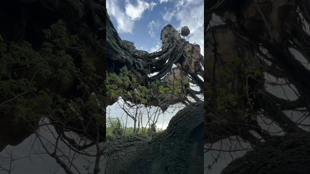 AVATAR Flight of Passage Queue | Disney&rsquo;s ANIMAL KINGDOM #avatar #disneyparks #flightofpassage