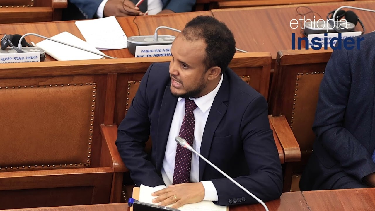 ዶ/ር ደሳለኝ ጫኔ ላቀረቧቸው ጥያቄዎች ፕ/ር  ብርሃኑ ነጋ የሰጡት ምላሽ | Ethiopia| Dessalegn Chanie| Berhanu Nega| Education