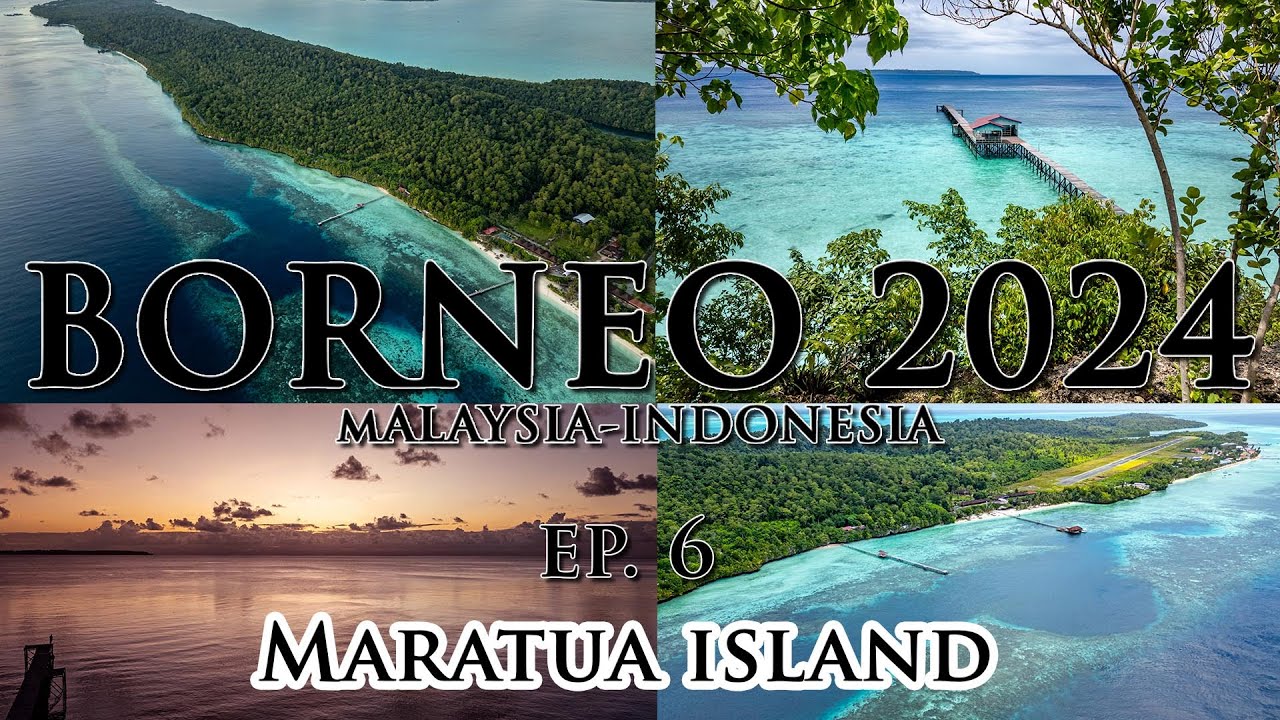 Borneo 2024 Diving trip Malaysia-Indonesia (Maratua Island) - Ep.6