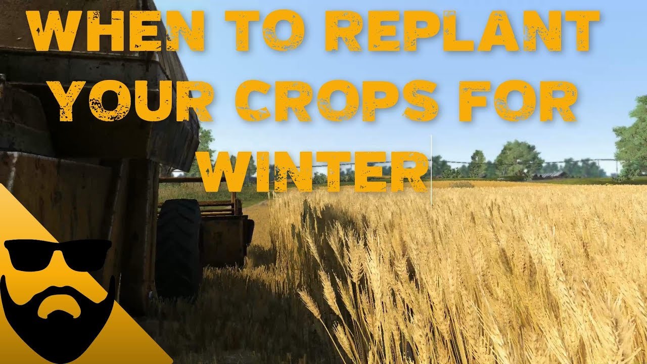 WHEN TO REPLANT YOUR CROPS FOR WINTER IN FARMER'S DYNASTY