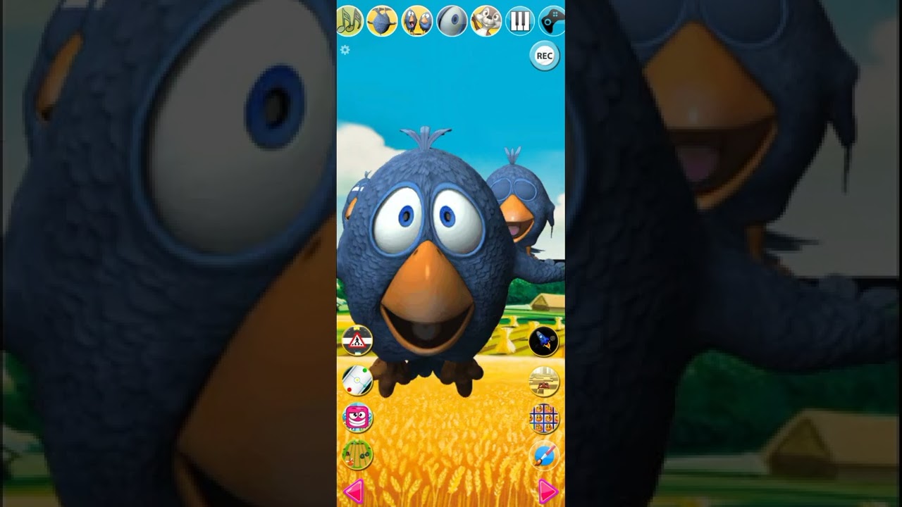 Funny Talking birds on a wire