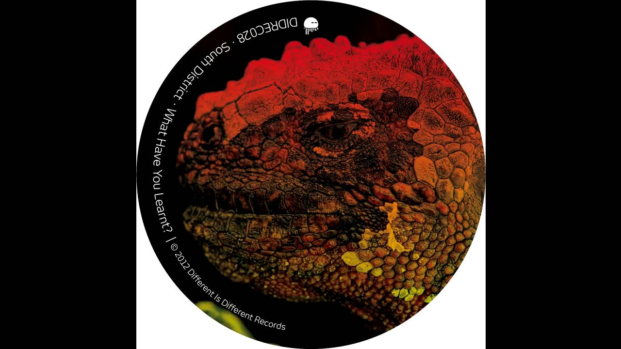 South District - What Have You Learnt? (Original Mix)