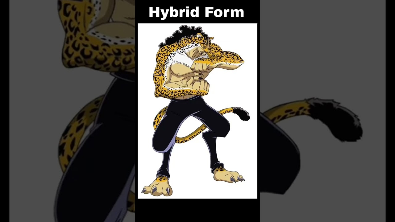 All Rob Lucci Forms #shorts #RobLucci  #fyp #forms #onepiece #moviecp0 #super #pure #jdandju