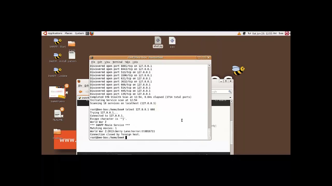 A9 Using Known Vulnerable Components - Buffer Overflow (Remote)