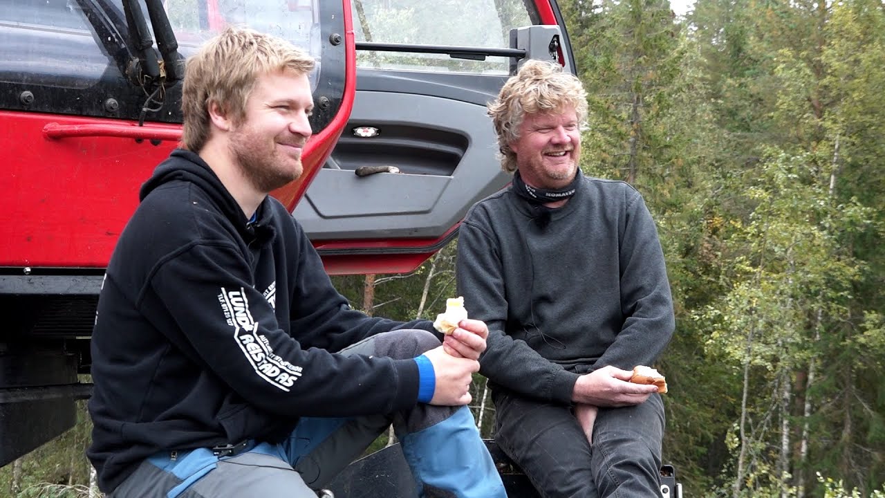 Familiebedriften i skogen
