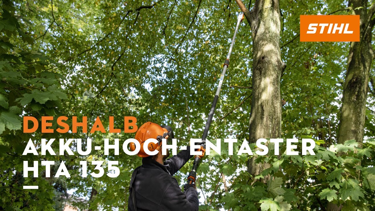 Für saubere, präzise Schnitte in grosser Höhe | Deshalb STIHL Akku-Hoch-Entaster HTA 135