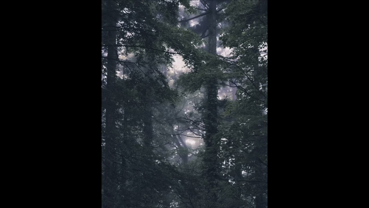 [free for profit] Hans Zimmer x Ghost of Tsushima type beat - 