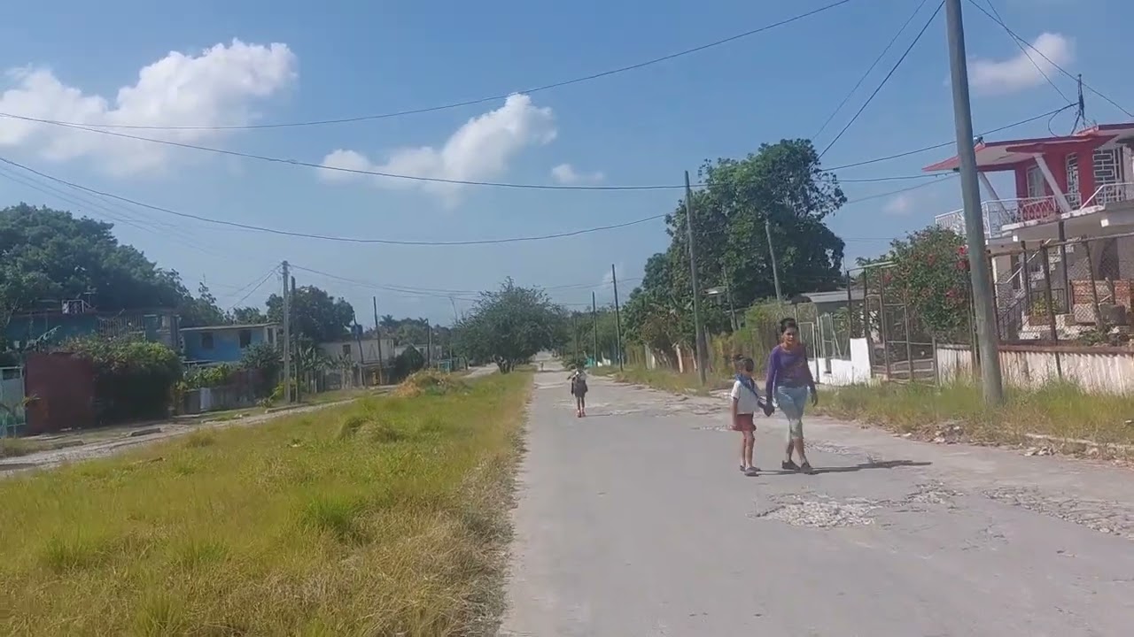 LOS PINOS 🌲🌲 🇨🇺 AVE.MAYIA RODRÍGUEZ ARROYO NARANJO HABANA CUBA 🇨🇺