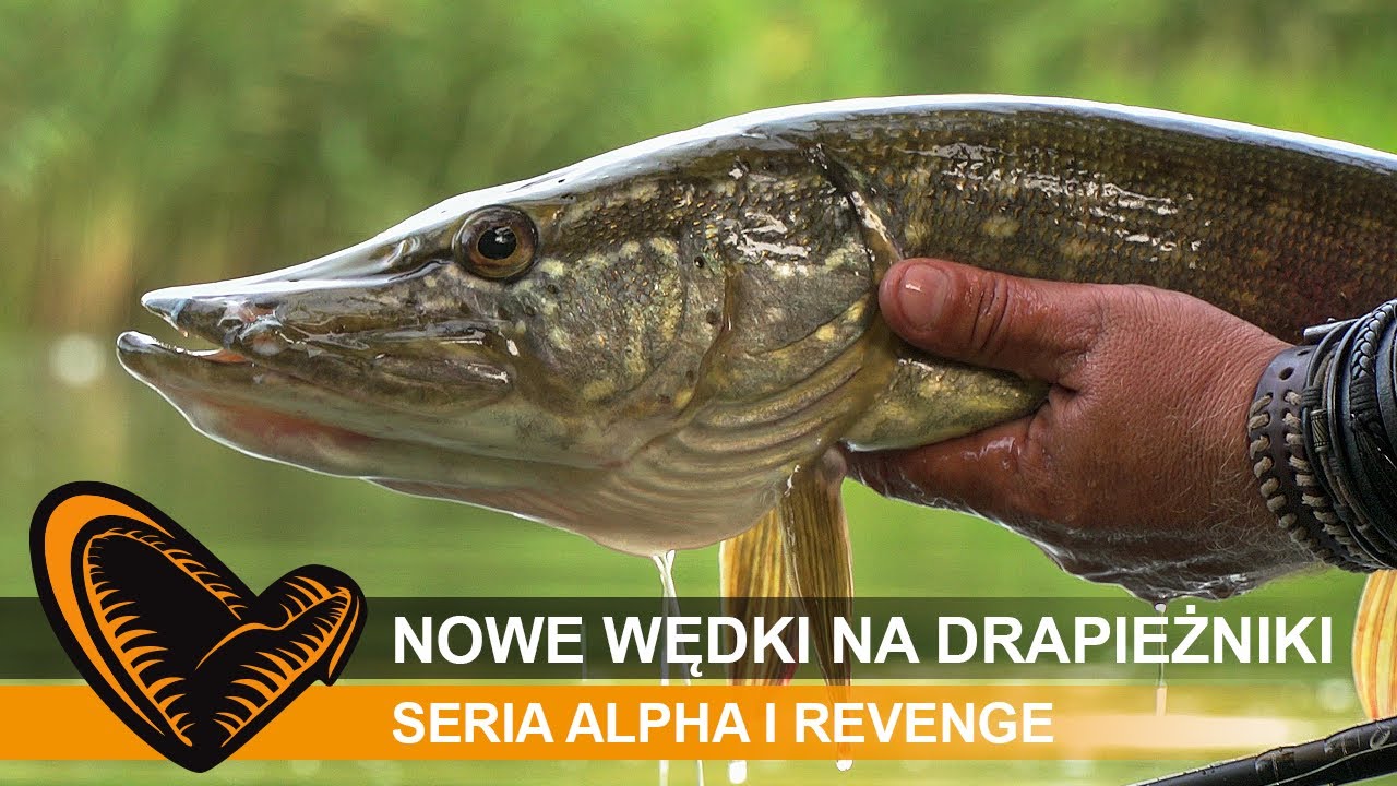 NOWE wędki SG6 Alpha i Revenge na SZCZUPAKI, SANDACZE i inne DRAPIEŻNIKI