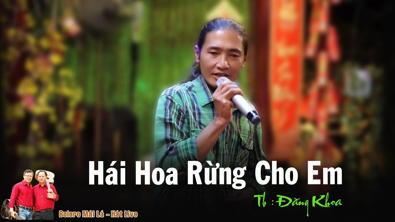Hái hoa rừng cho em | Đăng Khoa con  trai ngoại Huỳnh Triều | Bolero mái lá