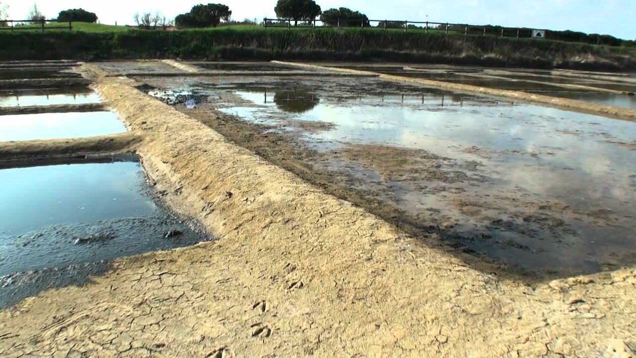 Les marais salants - Port des Salines, île d'Oléron
