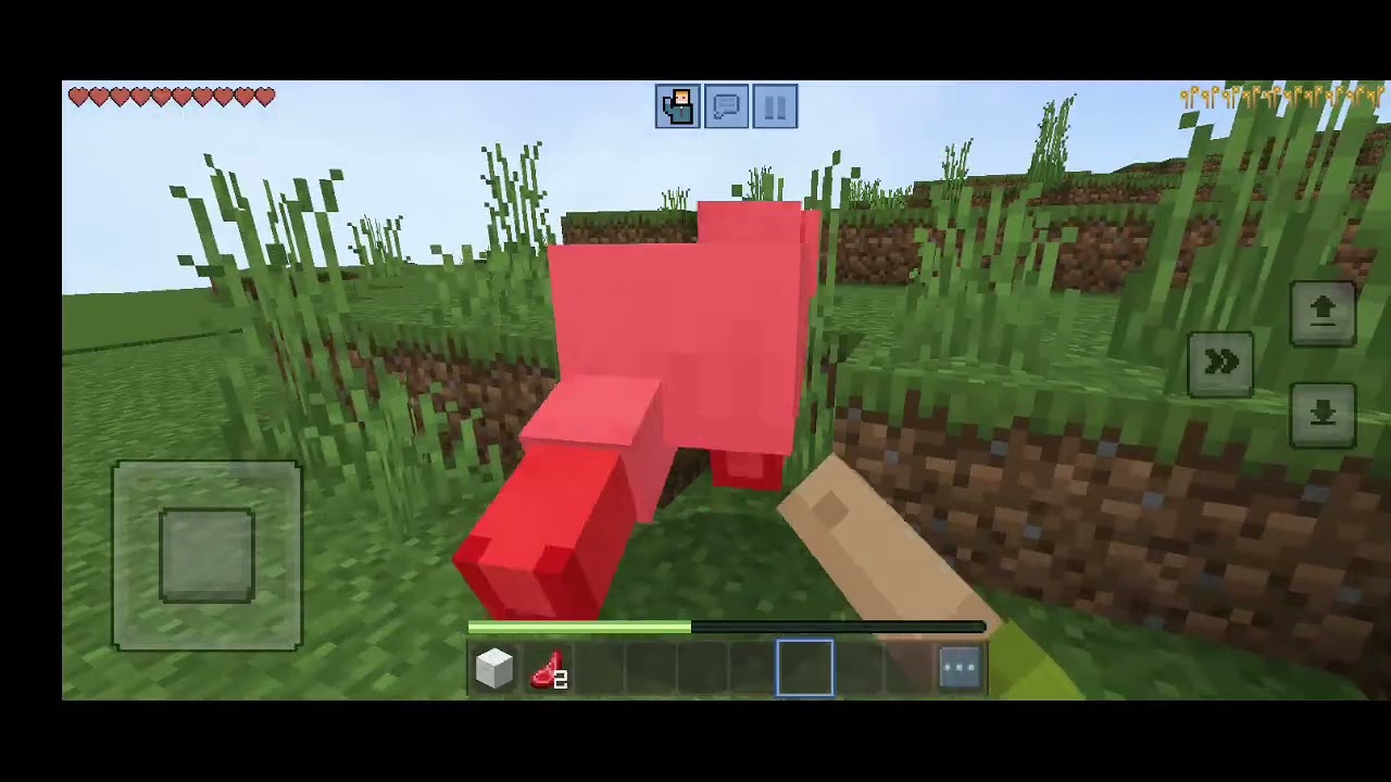 PlayaMincaraft