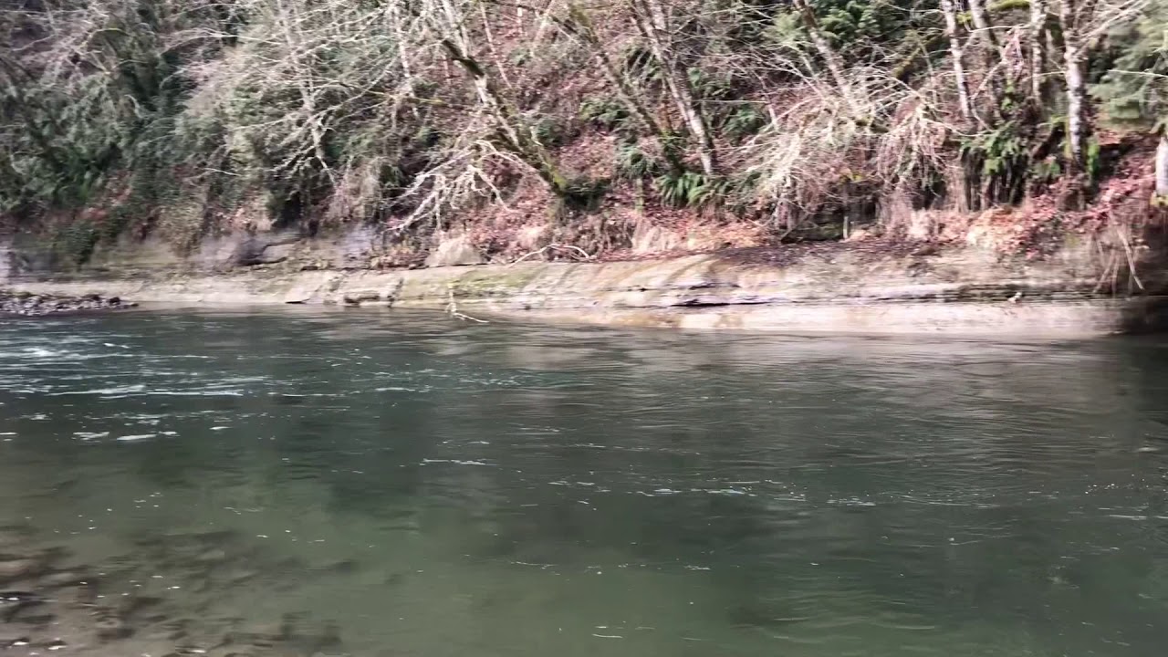 Sandy river February winter steelhead, Bobber Down footage 2019