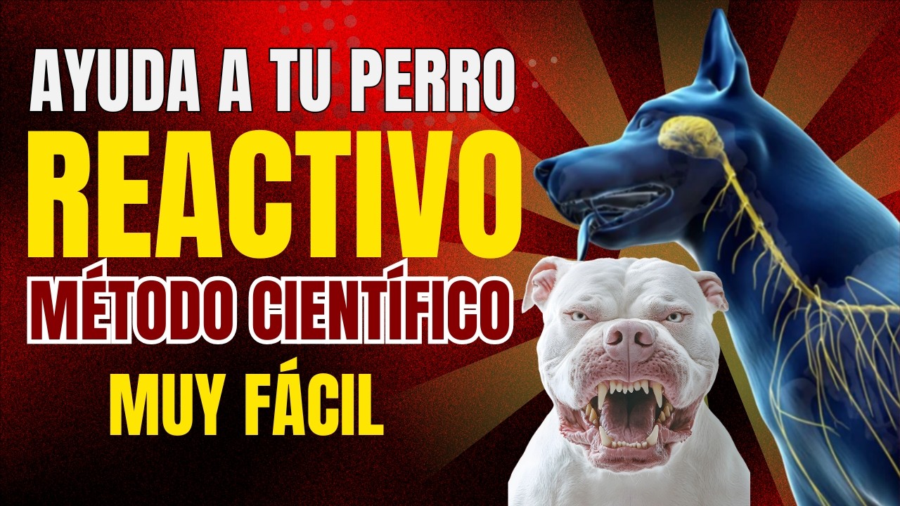 Cómo AYUDAR a tu PERRO REACTIVO o con MIEDO: Guía Neurociencia Aplicada (Método Profesional)